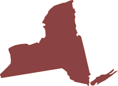 New York State Map Shape
